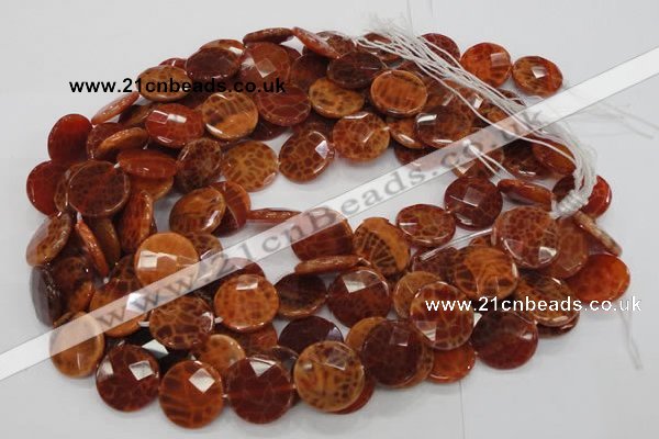 CAG639 15.5 inches 20mm faceted coin natural fire agate beads