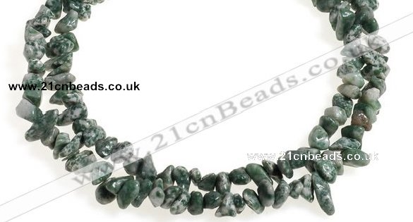 CCH29 35 inches dalmatian jasper chips gemstone beads wholesale