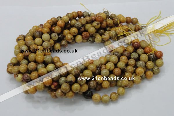 CFA33 15.5 inches 10mm round yellow chrysanthemum agate beads