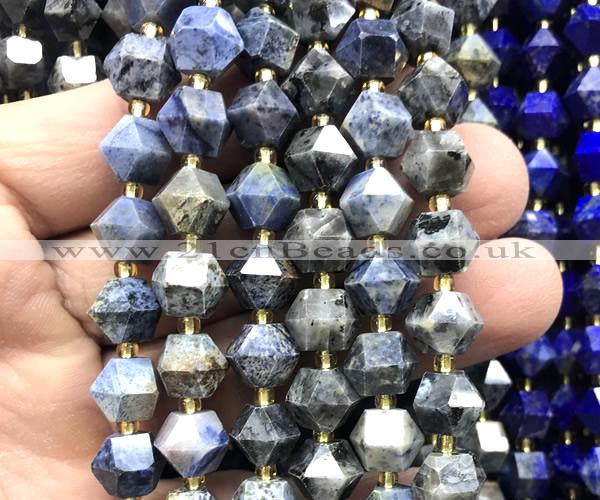 CME879 15 inches 8*10mm faceted bicone sunset dumortierite beads