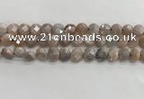 CMS1788 15.5 inches 8mm faceted coin AB-color moonstone beads
