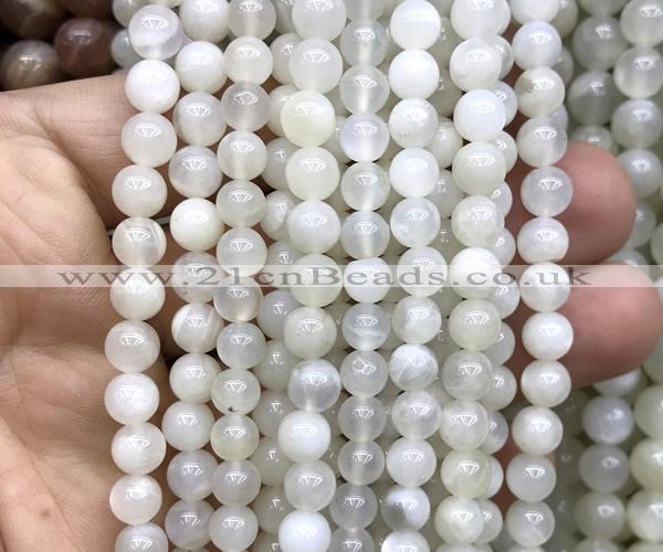 CMS2350 15 inches 6mm round white moonstone beads wholesale