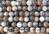 CMS2363 15 inches 10mm round rainbow moonstone beads wholesale