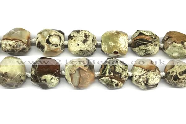 CNG8933 16*17mm - 18*19mm faceted freeform ocean agate beads