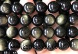 COB856 15 inches 16mm round golden obsidian gemstone beads