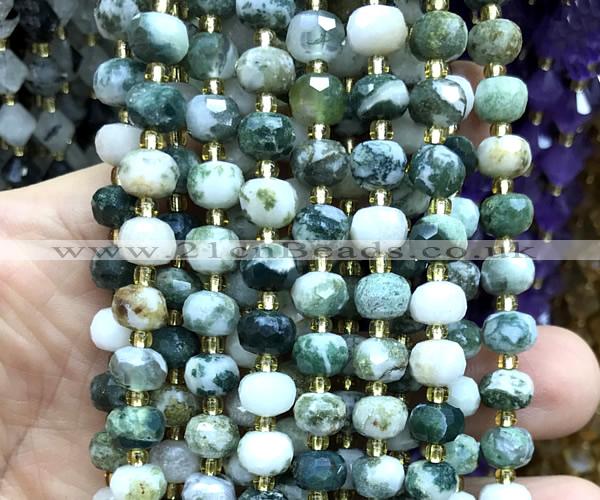 CRB6040 15 inches 6*8mm faceted rondelle tree agate beads