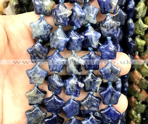 CRG87 15 inches 16mm star sodalite gemstone beads wholesale