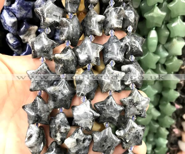 CRG89 15 inches 16mm star black labradorite beads wholesale