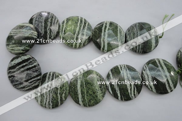 CSJ125 15.5 inches 40mm faceted coin green silver line jasper beads