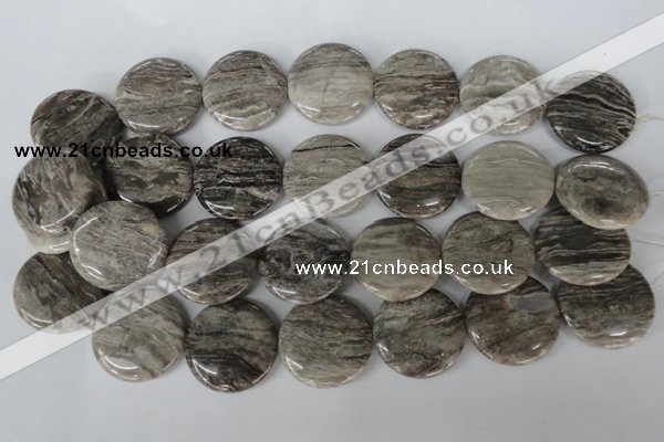 CSL35 15.5 inches 30mm flat round silver leaf jasper beads wholesale