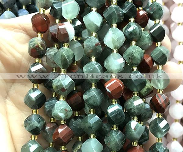 CTW676 15 inches 10mm faceted & twisted S-shaped blood jasper beads